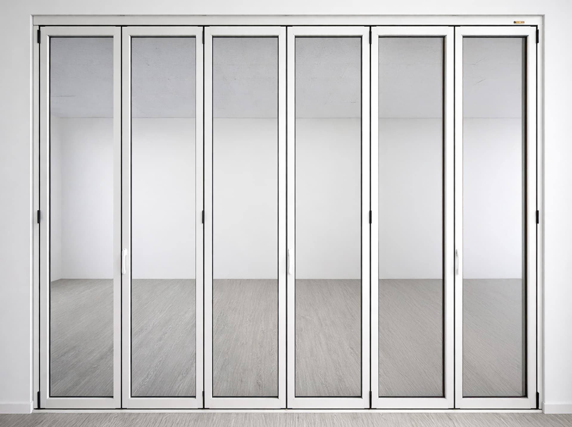 The Folding Door